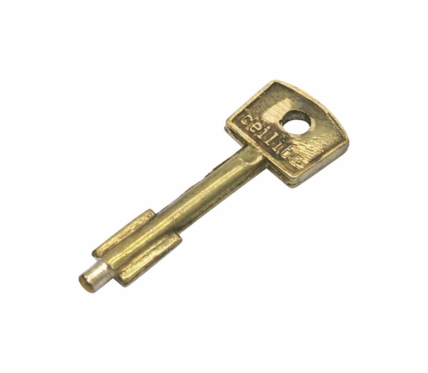 Spare key, BB plunger lock